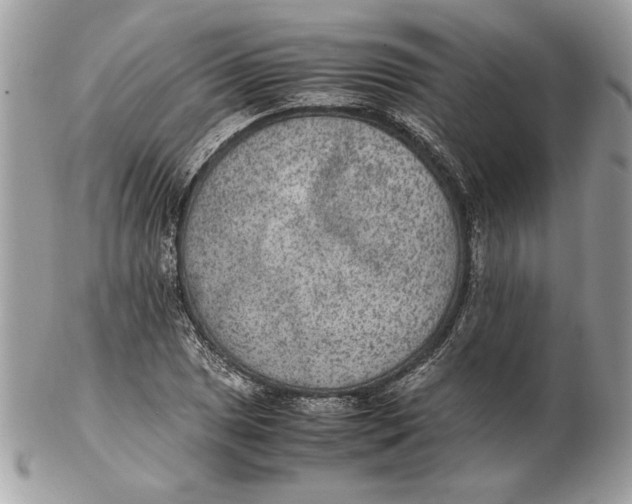 X0000102381025200808291356