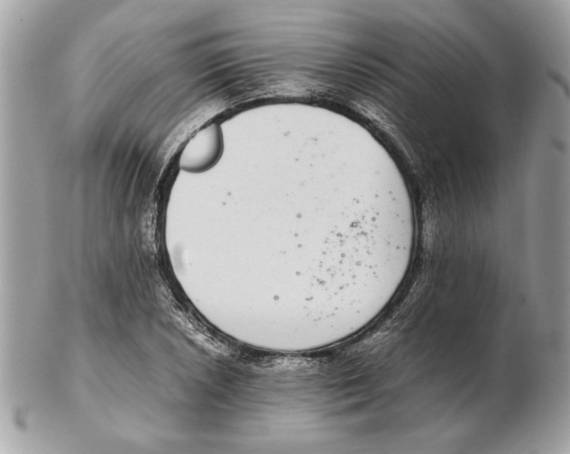 X0000102381026200808291356