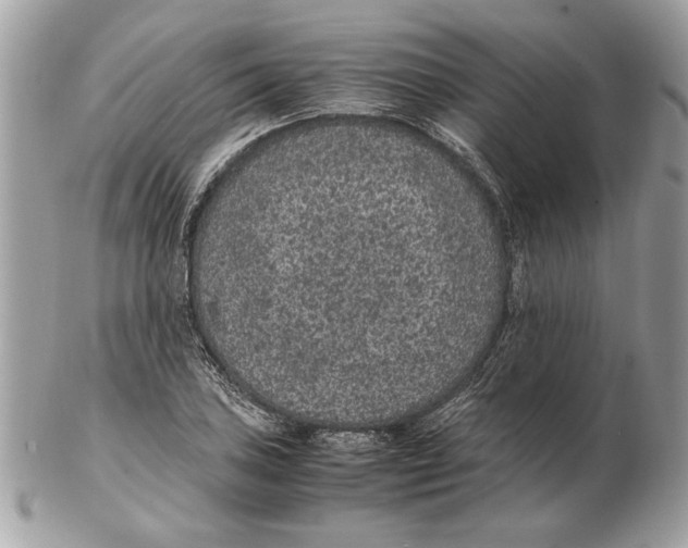 X0000102381027200808291356