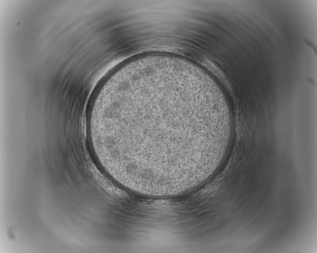 X0000102381028200808291356