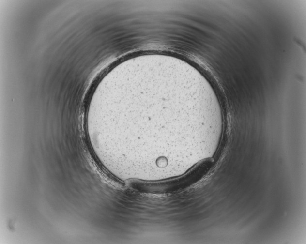 X0000102381029200808291356