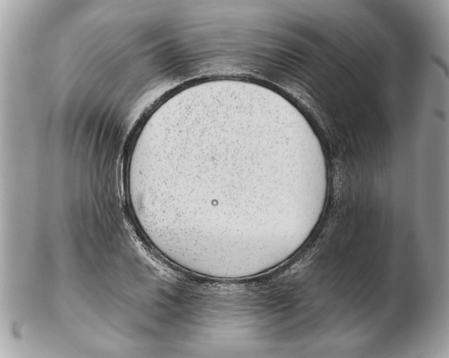 X0000102381030200808291356