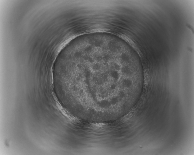 X0000102381031200808291356