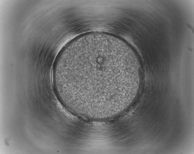 X0000102381032200808291356