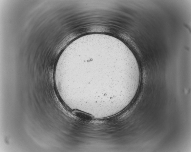 X0000102381033200808291356