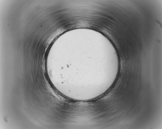 X0000102381034200808291356