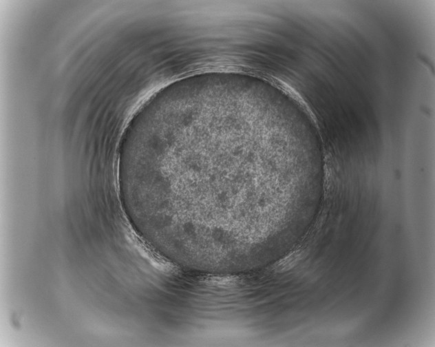 X0000102381035200808291356