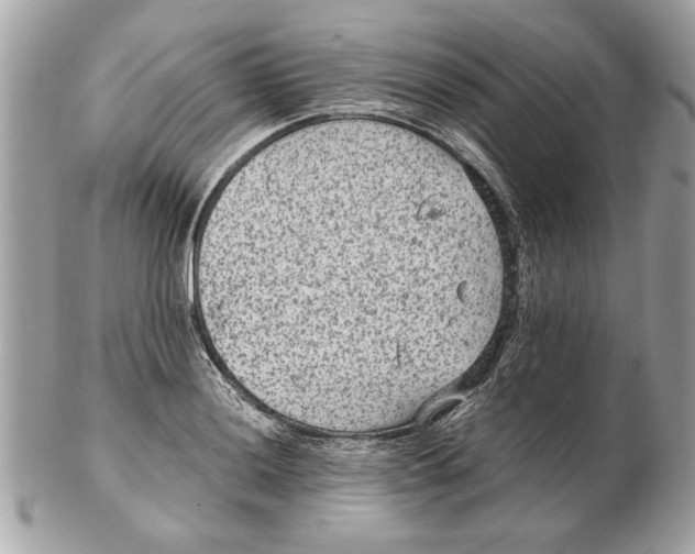 X0000102381036200808291356