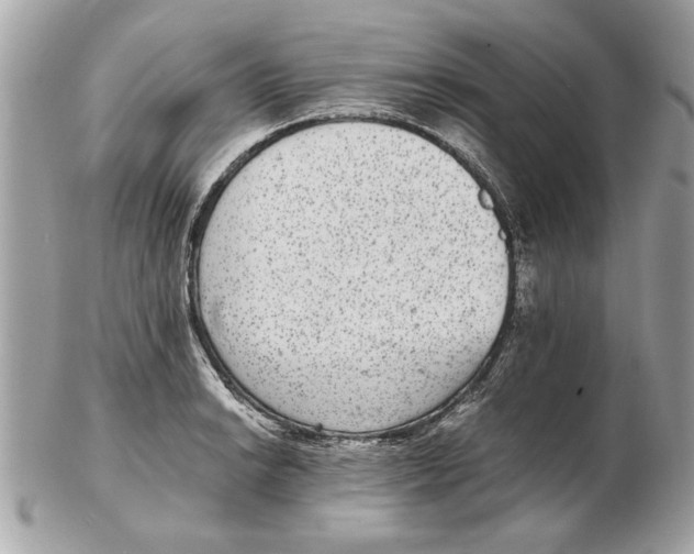 X0000102381038200808291356