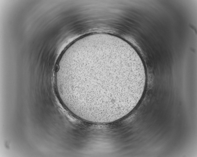 X0000102381040200808291357