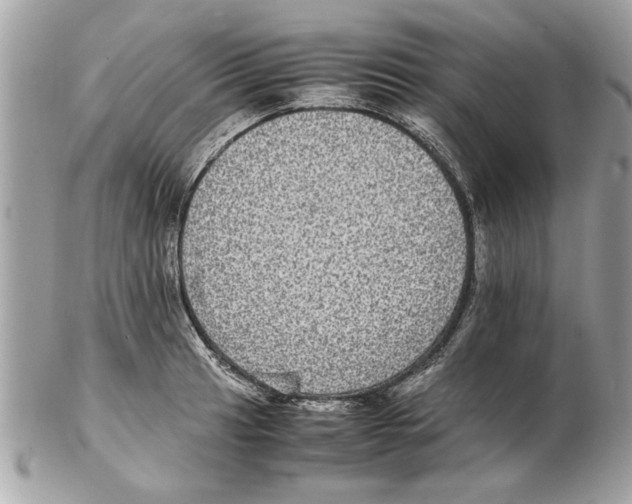 X0000102381041200808291357