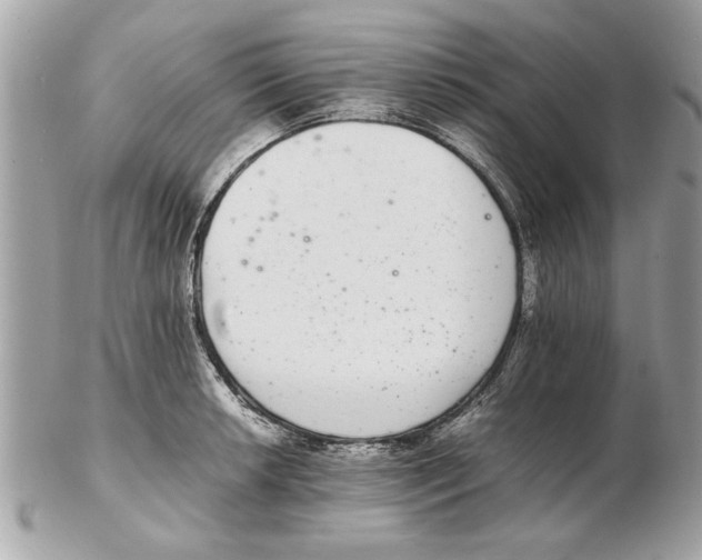 X0000102381042200808291357