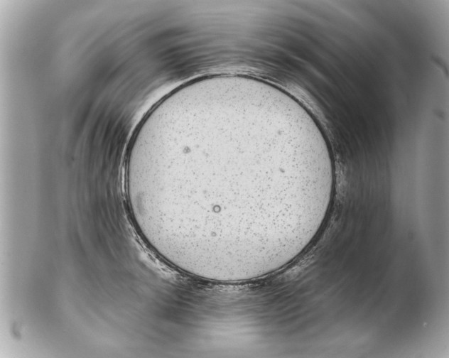 X0000102381044200808291357