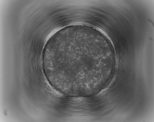 X0000102381045200808291357