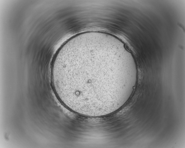 X0000102381046200808291357