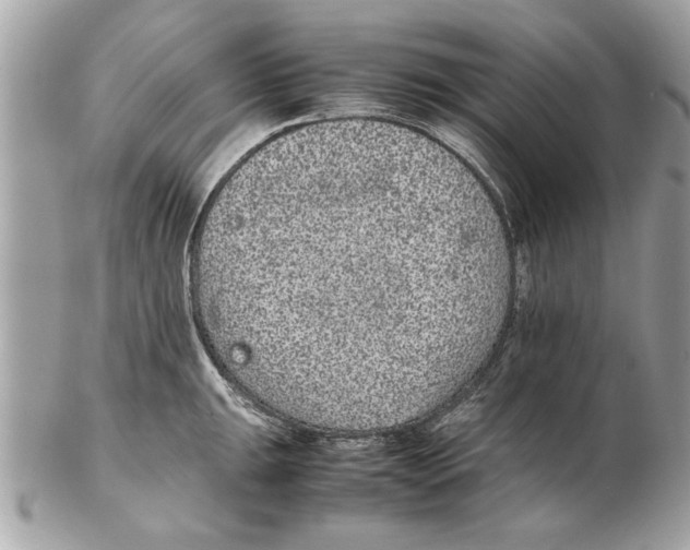 X0000102381047200808291357