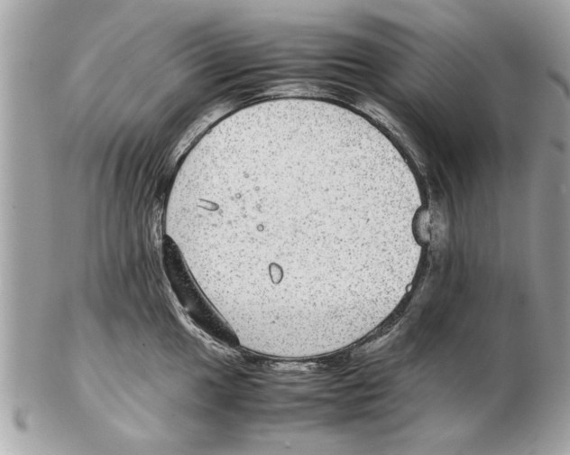 X0000102381049200808291357