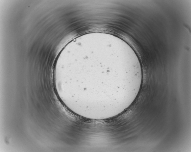 X0000102381050200808291357