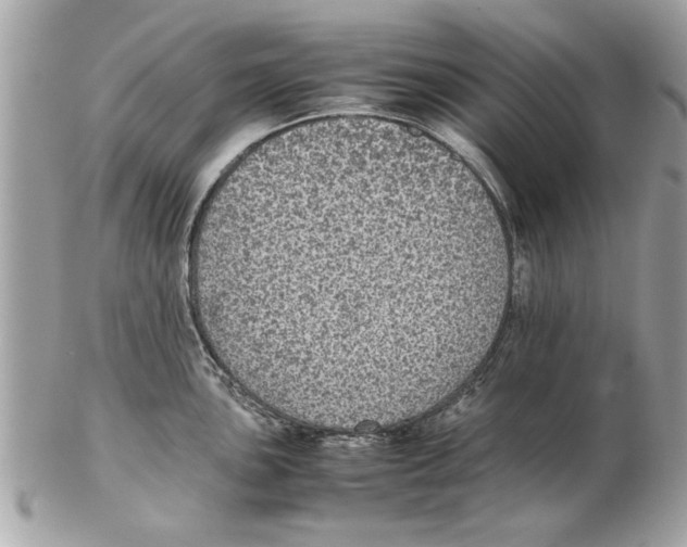 X0000102381051200808291357