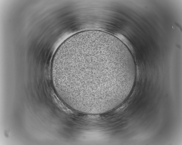 X0000102381052200808291357