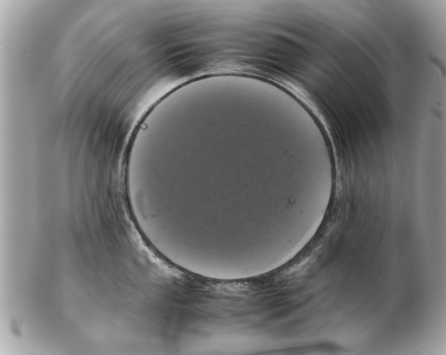 X0000102381053200808291357