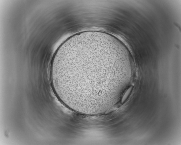 X0000102381054200808291357