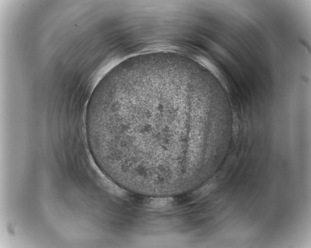 X0000102381055200808291357