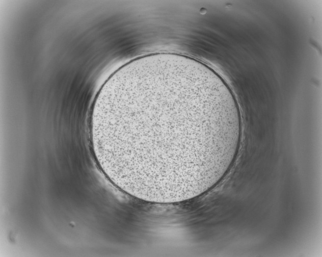 X0000102381056200808291357