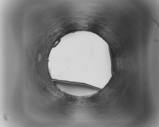 X0000102381057200808291356