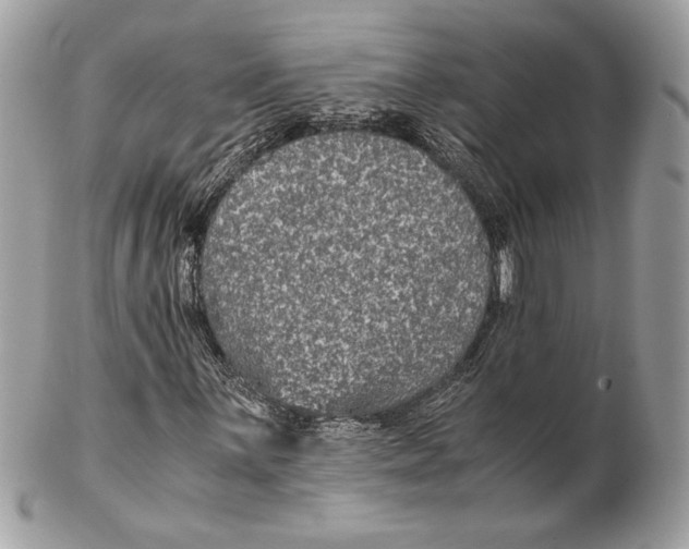 X0000102381059200808291356