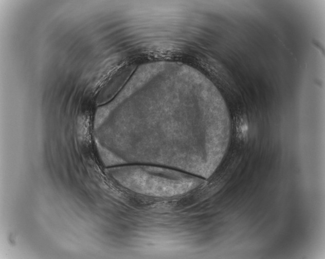 X0000102381060200808291356