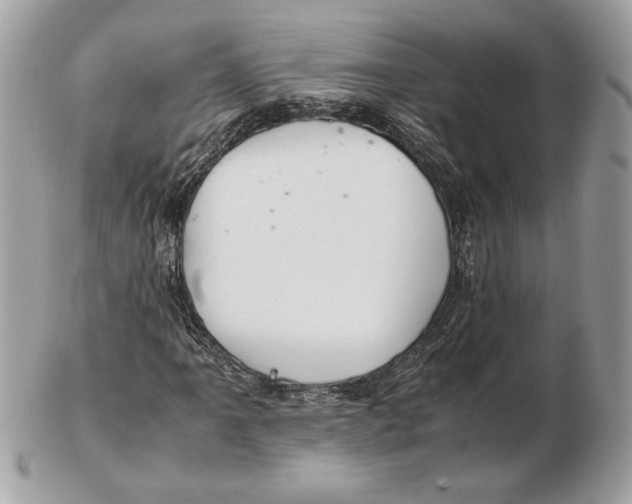 X0000102381061200808291356