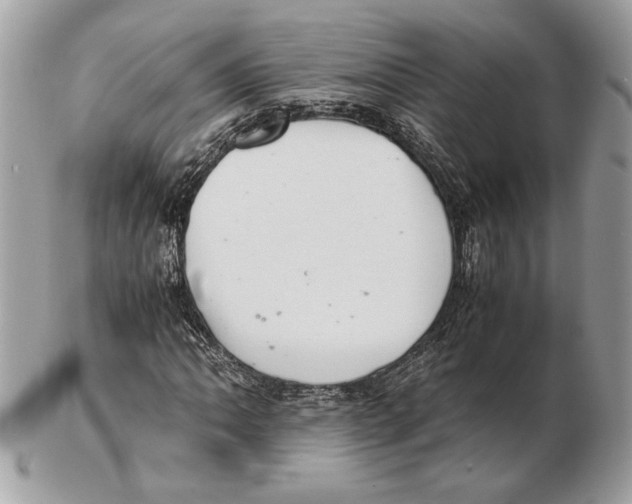 X0000102381062200808291356