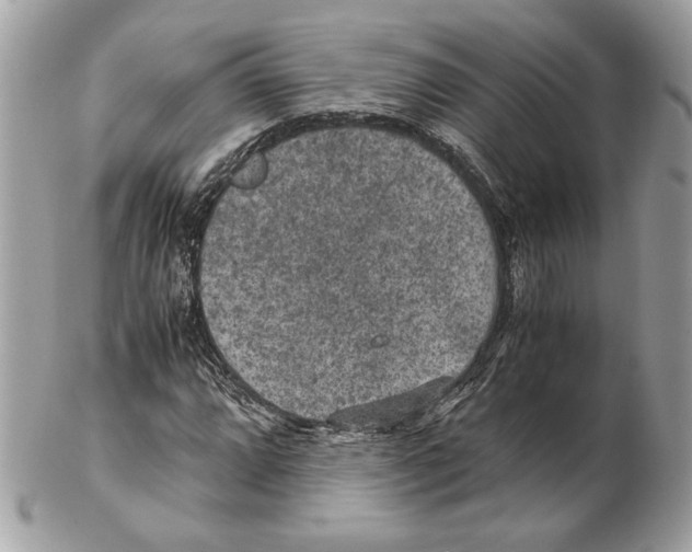 X0000102381064200808291356