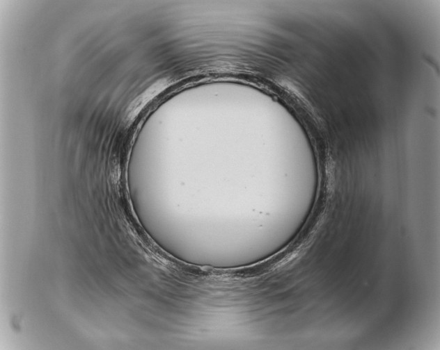 X0000102381065200808291356