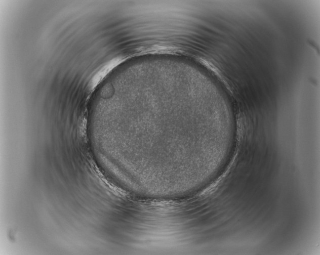 X0000102381066200808291356