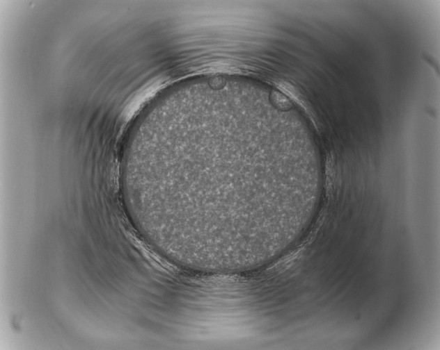 X0000102381067200808291356