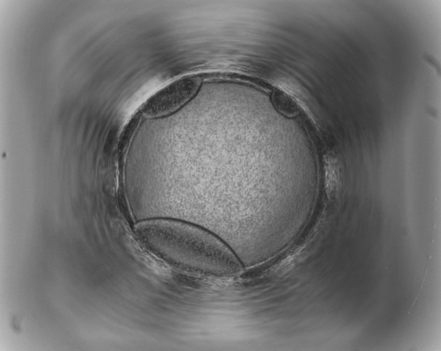 X0000102381069200808291356