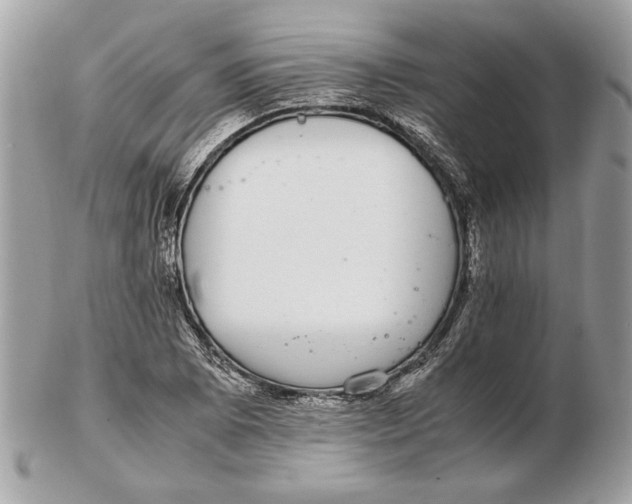 X0000102381073200808291356