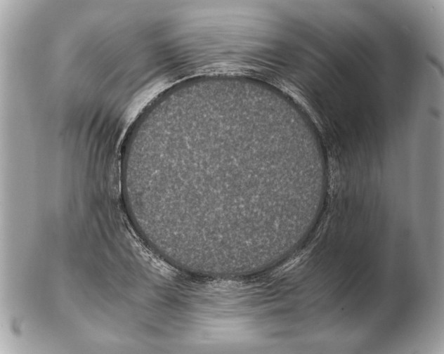 X0000102381075200808291356