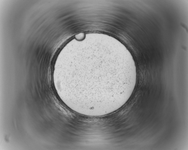 X0000102381076200808291356