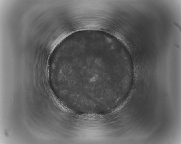 X0000102381077200808291356