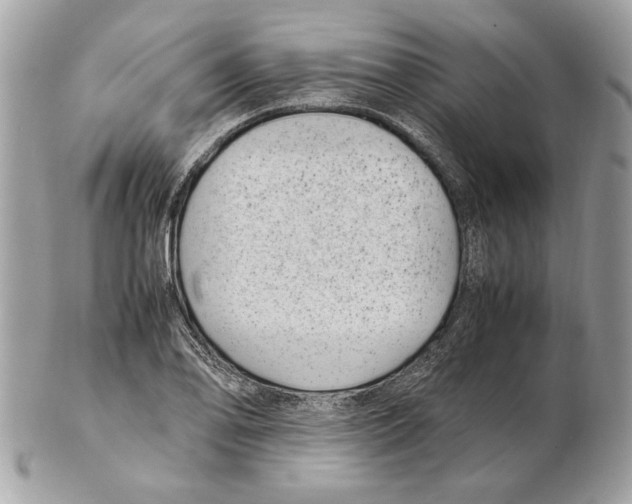 X0000102381078200808291356