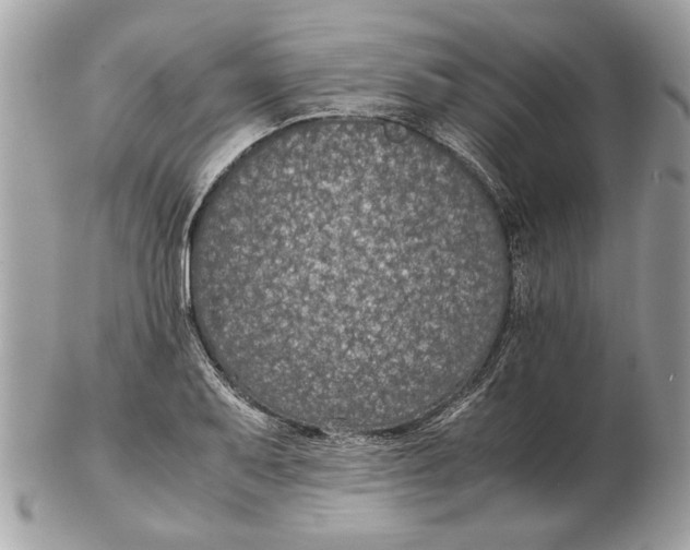 X0000102381079200808291356