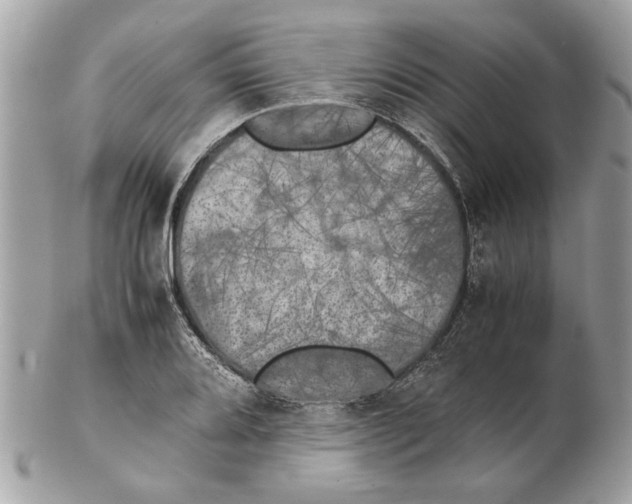X0000102381080200808291356