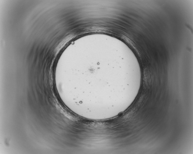 X0000102381082200808291356