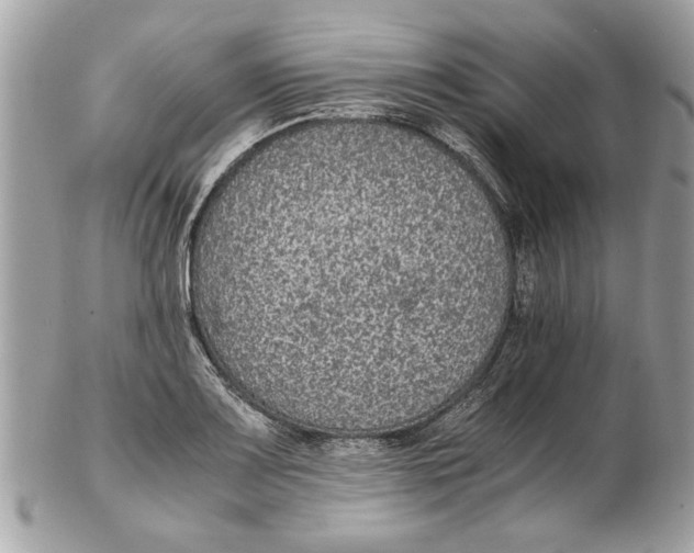 X0000102381083200808291356