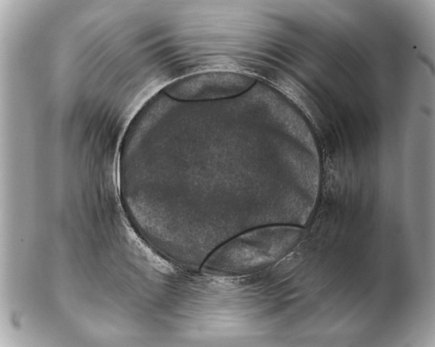 X0000102381084200808291356