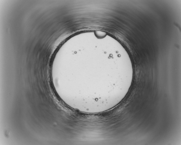 X0000102381085200808291356