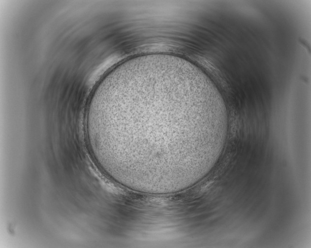 X0000102381086200808291356